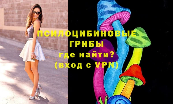 меф Каменка