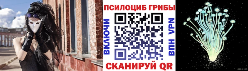 Купить  Жуковка  Псилоцибиновые грибы Magic Shrooms 